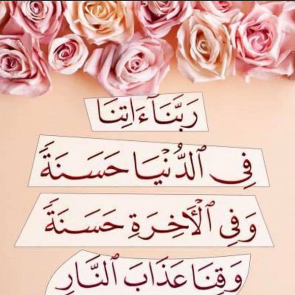 aminashire18
